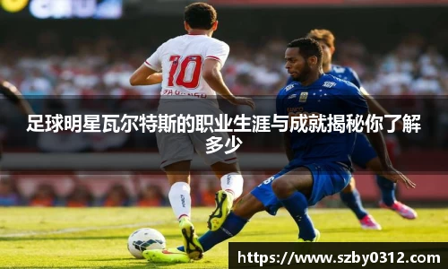 足球明星瓦尔特斯的职业生涯与成就揭秘你了解多少