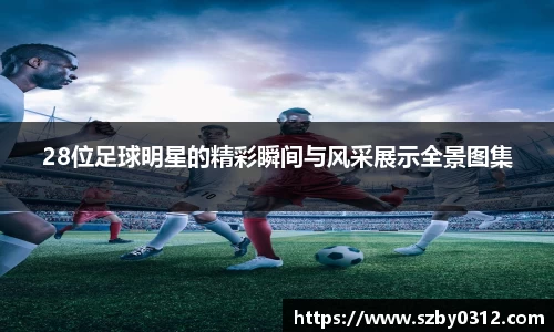 28位足球明星的精彩瞬间与风采展示全景图集