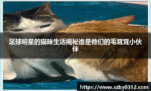 足球明星的猫咪生活揭秘谁是他们的毛茸茸小伙伴